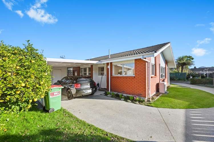 6A Morrow Avenue 1148_9