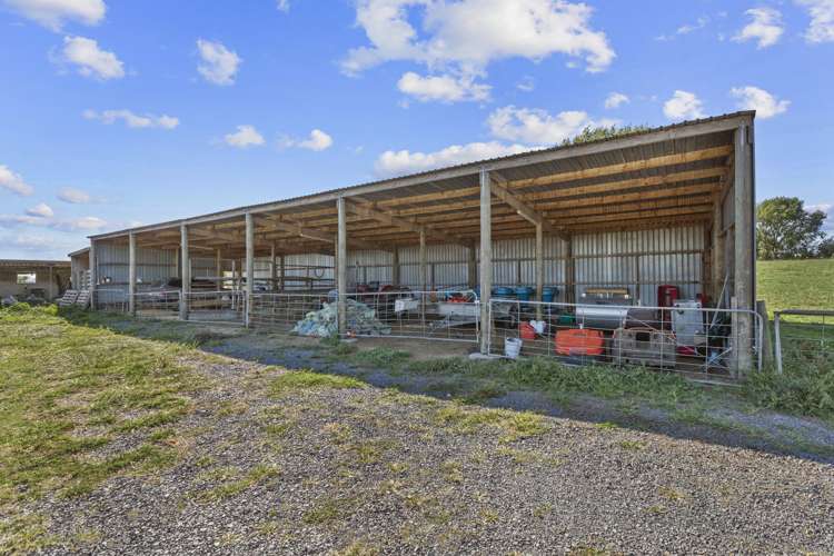 117 Meadway Road Ngahinapouri_14