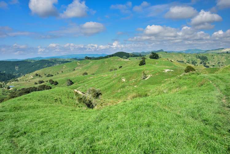 1678 Tiniroto Road Waerenga-O-Kuri_19