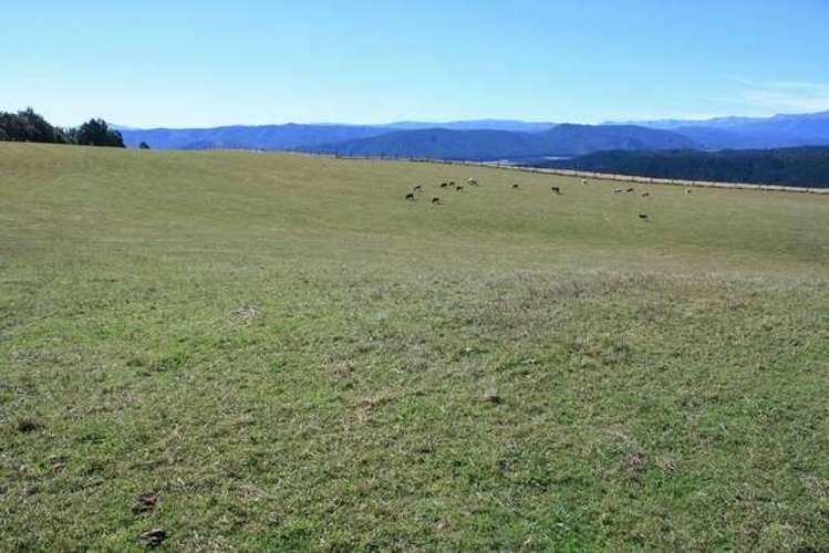 246 Howard Valley Road Kahurangi National Park_13