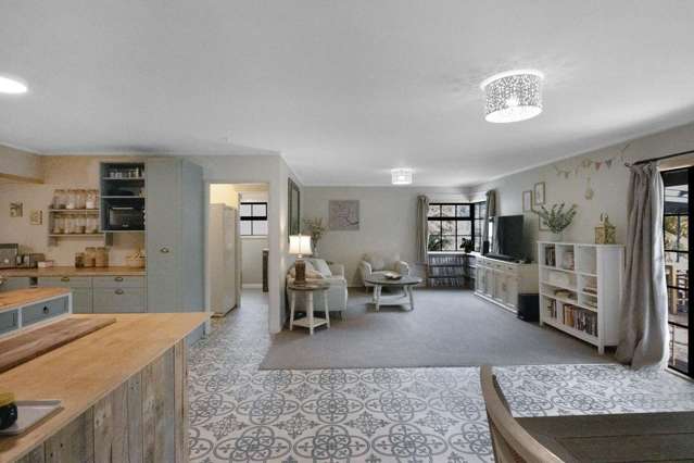 2436 Upper Buller Gorge Westport_4