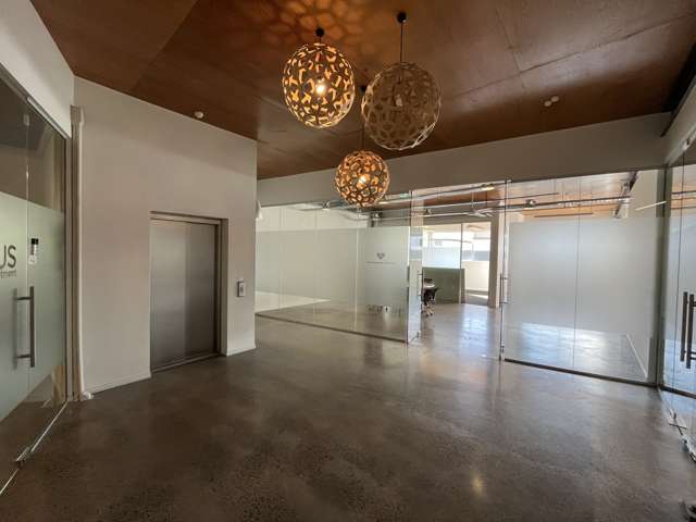 14-16 Maidstone Street Grey Lynn_1