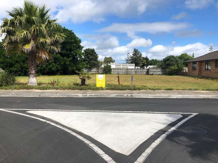 6 Flame Tree Lane Taipa_6