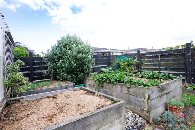 50 Filleul Street Gladstone_17