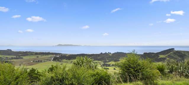 192 Manunui Road Leigh_3