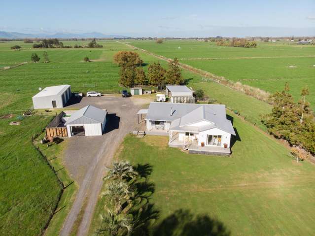 SPACE, STYLE & THE SHEDS TO MATCH