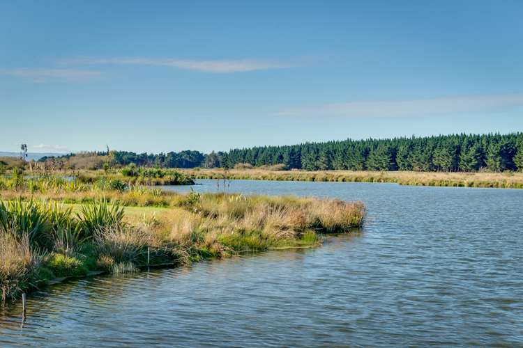 79 The Esplanade Pegasus_10