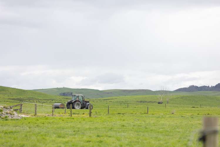 220 Blong Road Ruawai_25