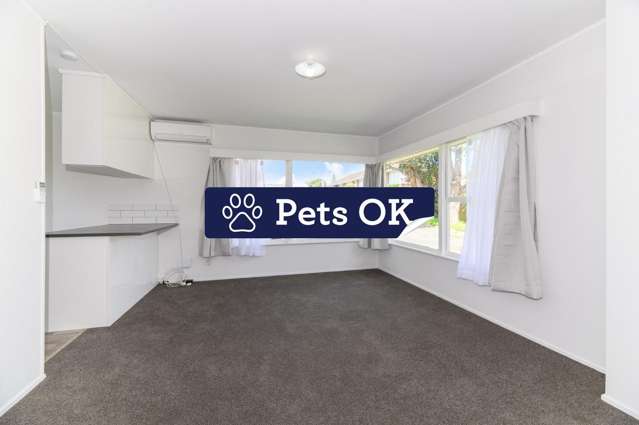New kitchen, New carpet, New painting! You shouldn't miss it - CAT friendly