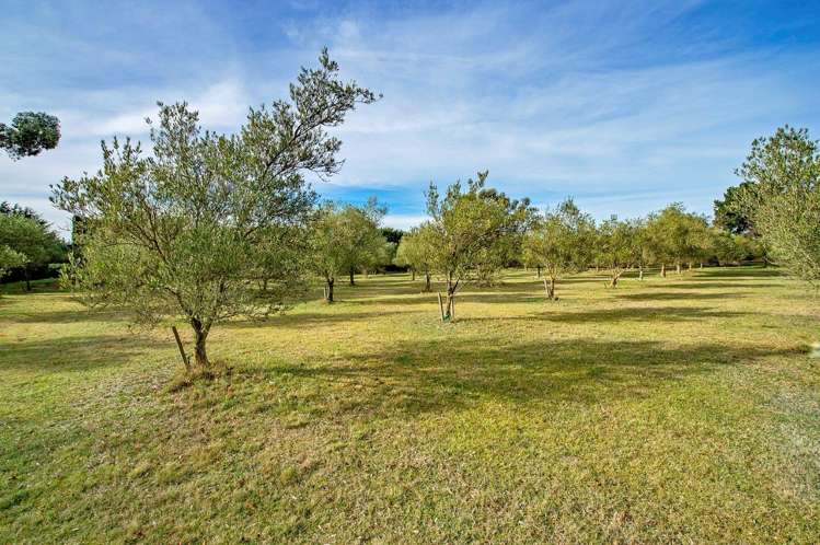 481 Burnham School Road Burnham_17