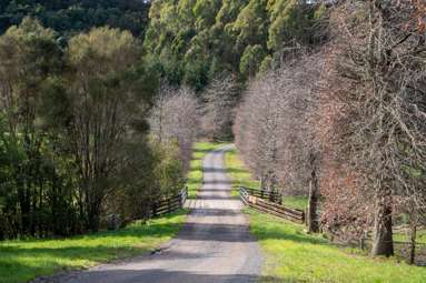 80 Roydon Downs Road_4