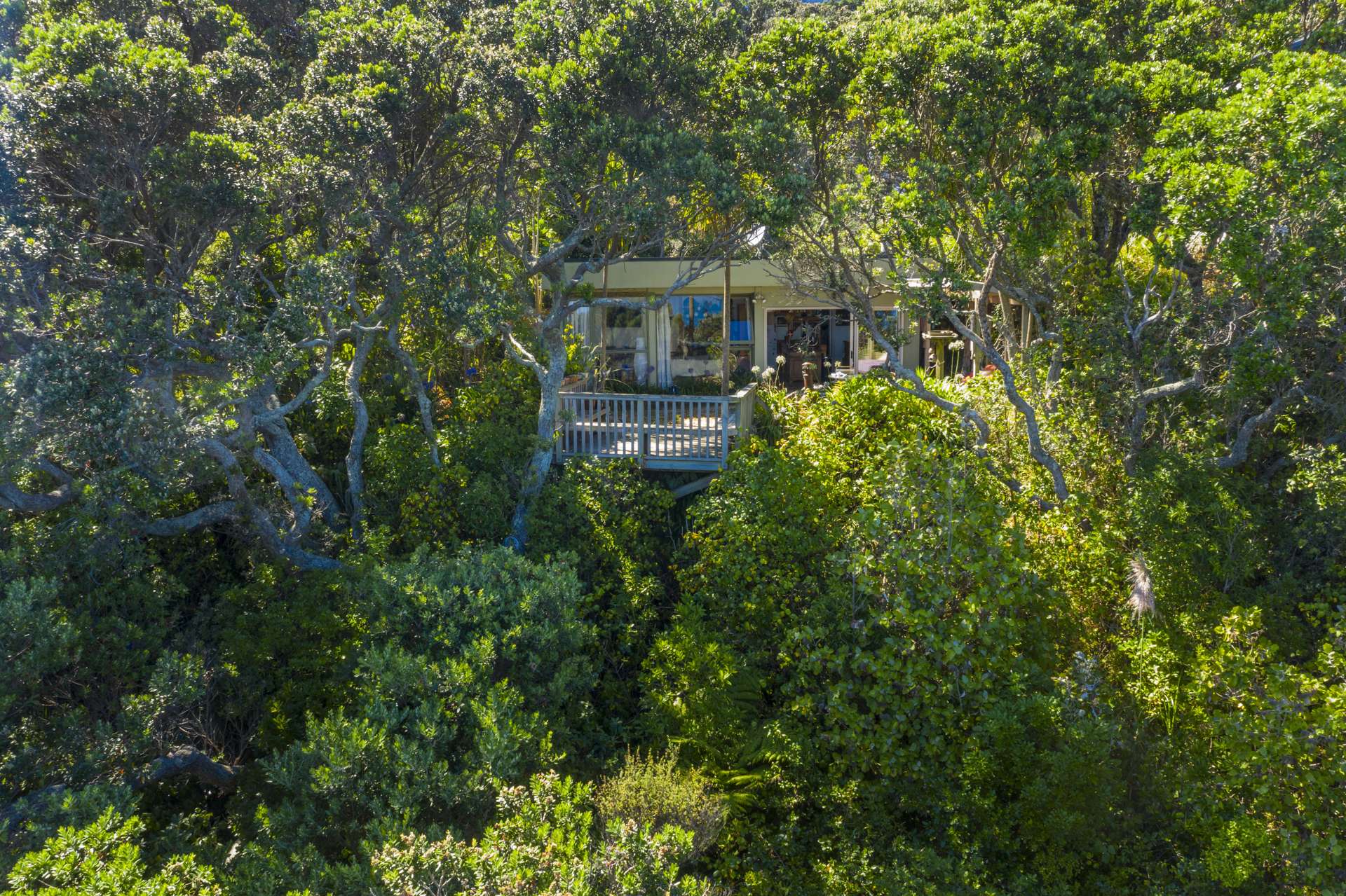 105 Domain Crescent Muriwai_0