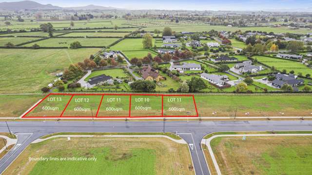 38 Peakedale Drive Matamata_2