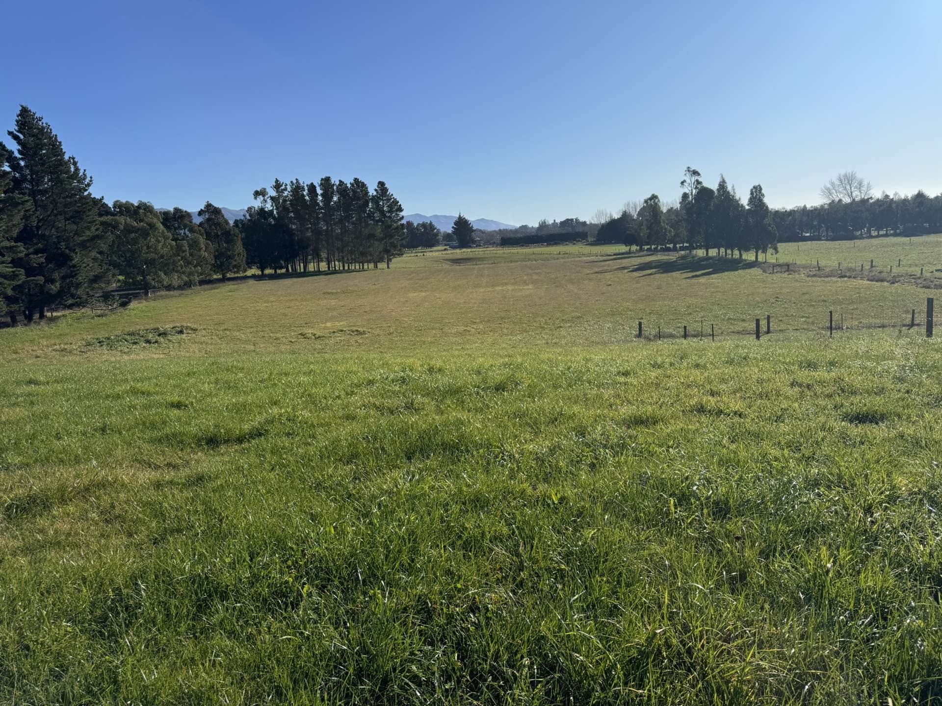 54 Studholme Settlement Road Waimate_0