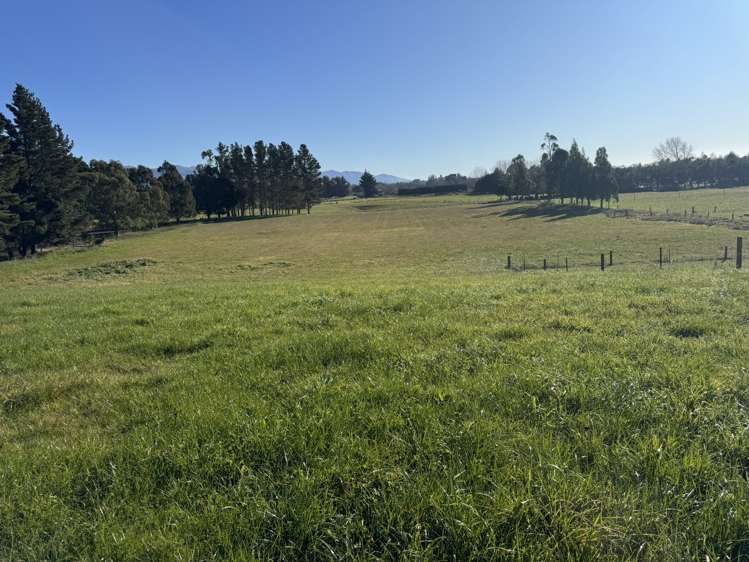 54 Studholme Settlement Road_0
