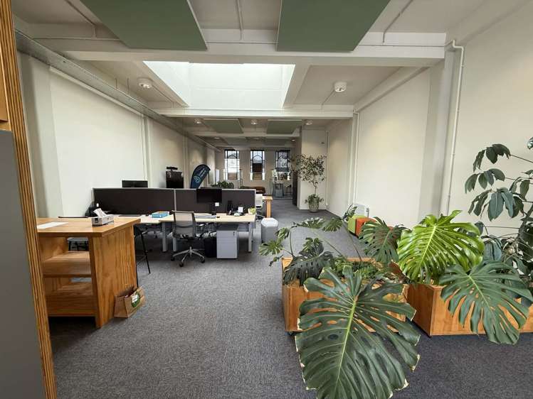 240 Trafalgar Street Nelson_12