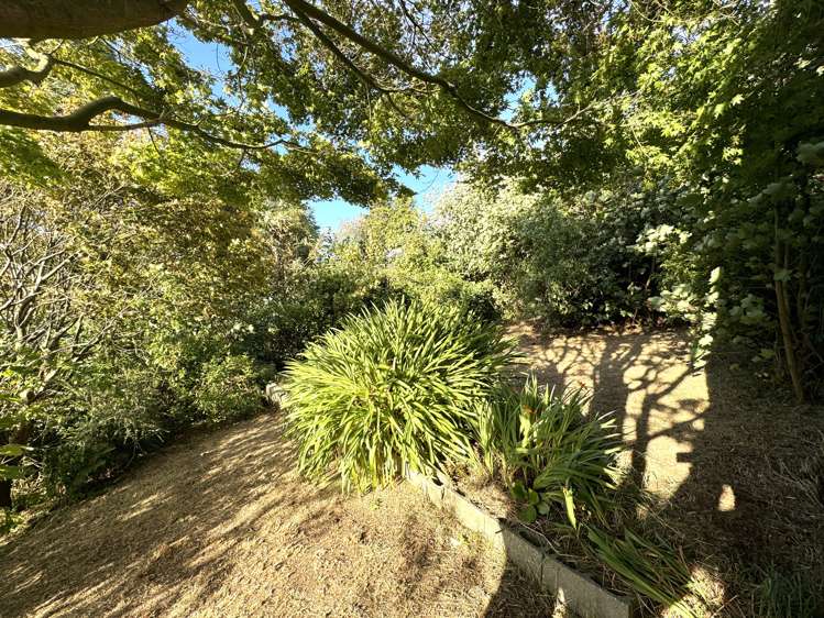 29 Market Street Kaitangata_19