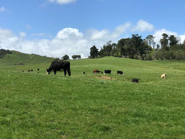 216 Morrison Road Arapohue_8