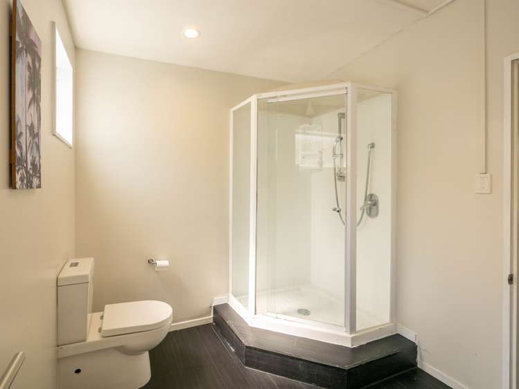 54 Selwyn Street North East Valley_9