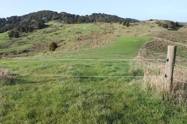 1311 State Highway 12 Maungaturoto_8