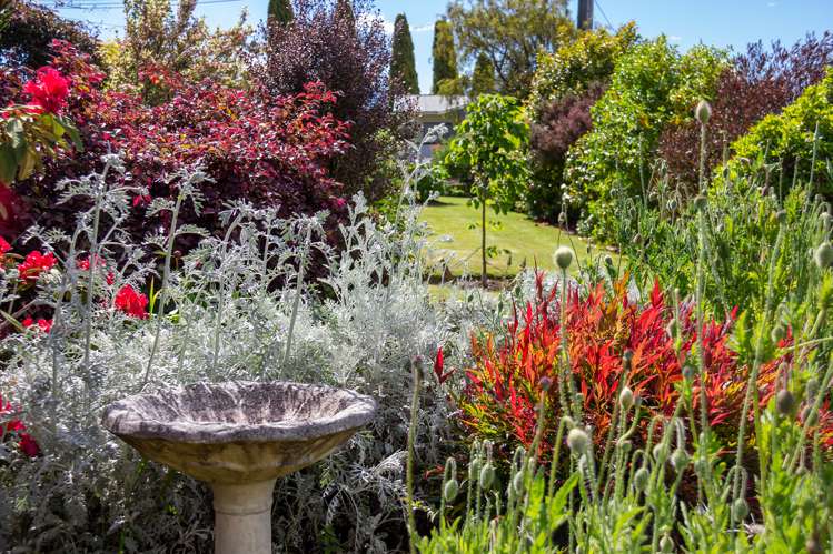 43 Fergusson Street Solway_16