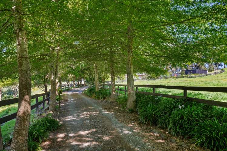 243 Clevedon-Kawakawa Road Clevedon_20