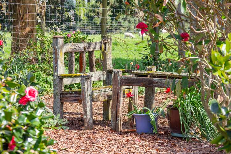 56 Upper Manaia Road Upper Plain_20