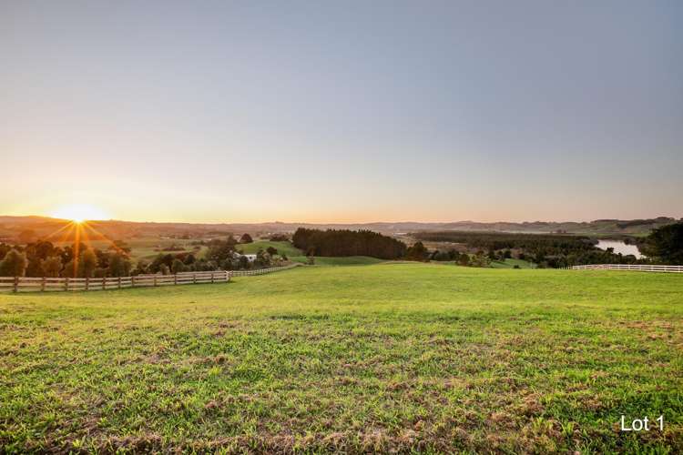 Cameron Town Road Pukekohe_3