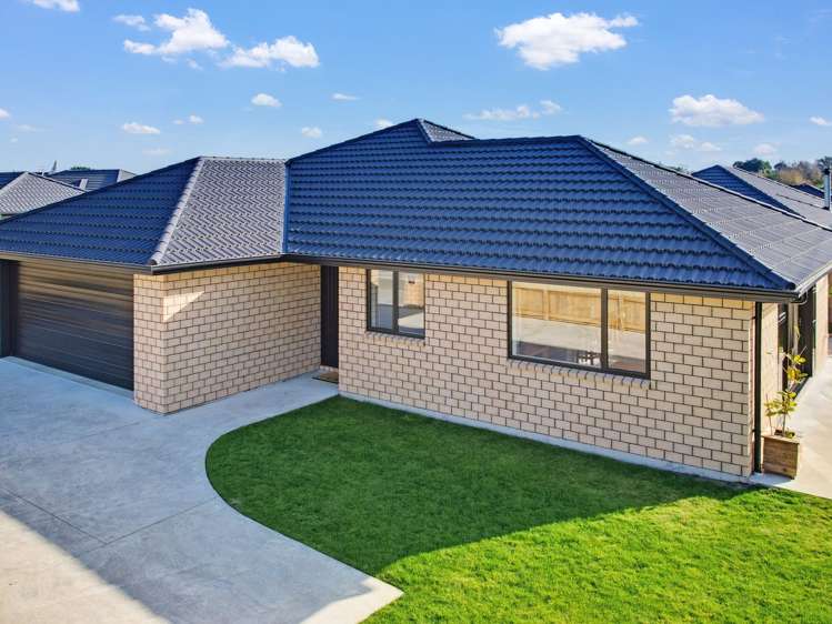 99 Fairfield Road Levin_18