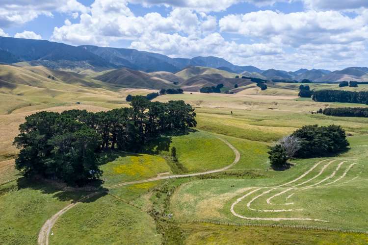 812 Laws Road Dannevirke_15