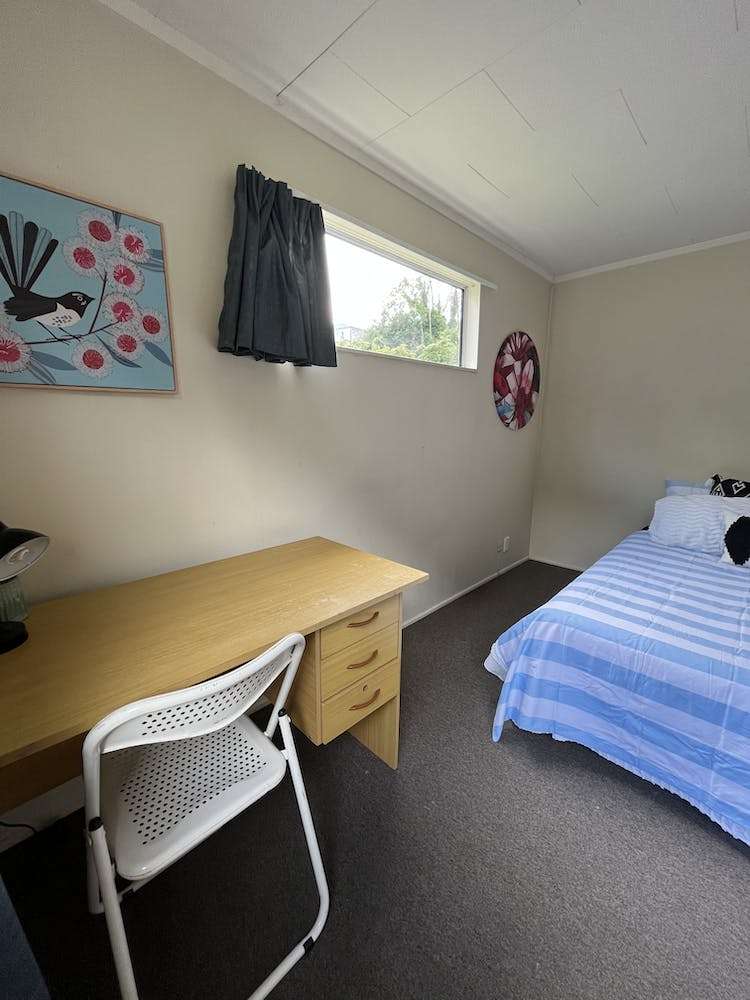 3 Serpentine Avenue Dunedin Central_11