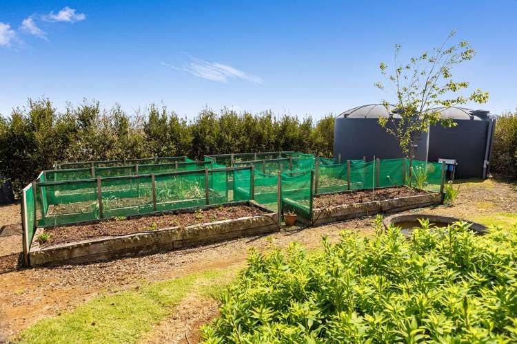 601 Cable Bay Block Road Cable Bay_29