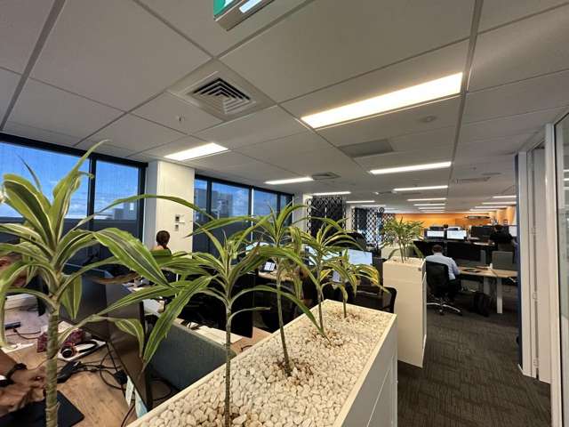 103 Carlton Gore Road Newmarket_4