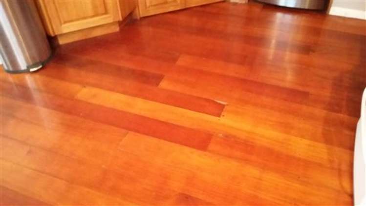 15 Kaka Street Piopio_19