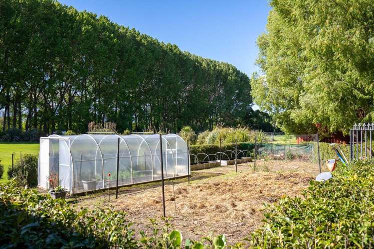 376D Earnscleugh Road Alexandra_30