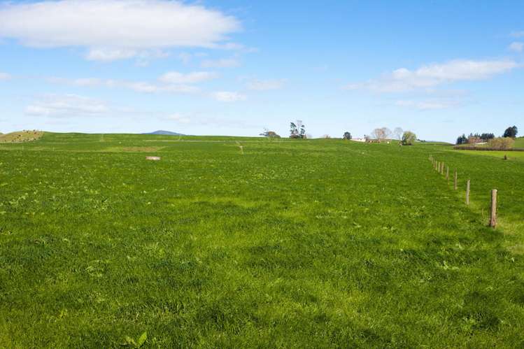 2175 Morrinsville-Walton Road Richmond Downs_17