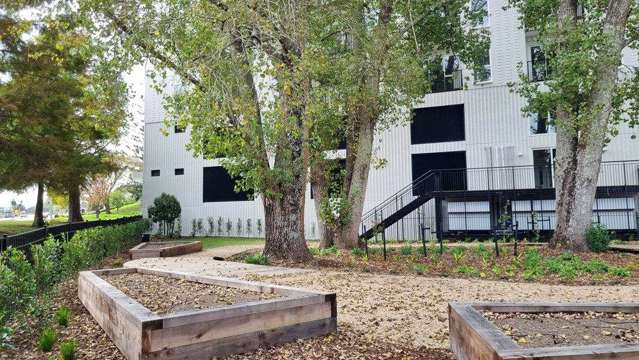 314/1817a Great North Road Avondale_3