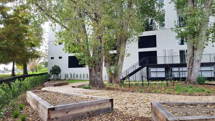 314/1817a Great North Road Avondale_3