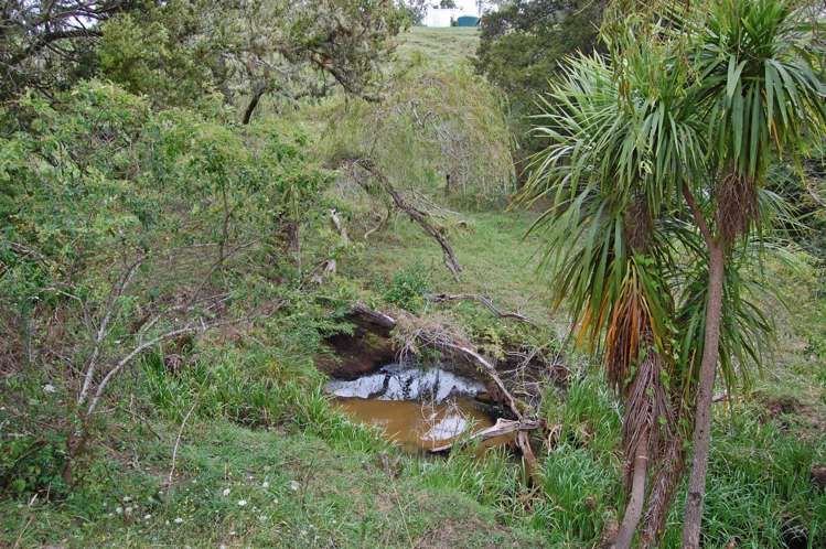 87 Settlement Road Kaiwaka_21