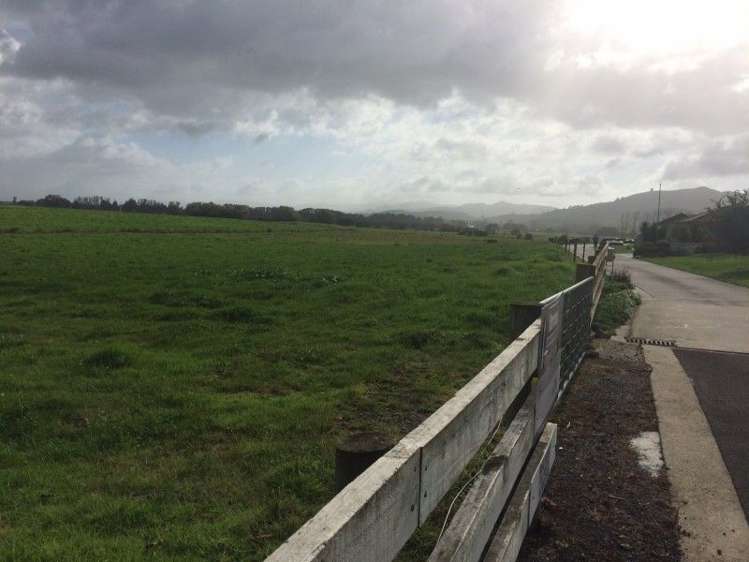 16 Buchanan Street Paeroa_3