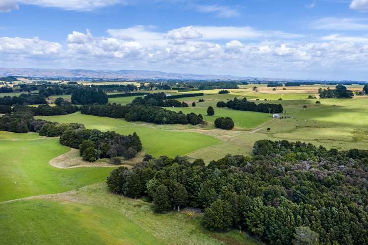 812 Laws Road Dannevirke_9