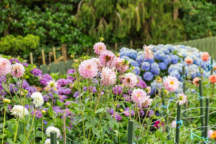 88B Creamery Road Waiuku_17