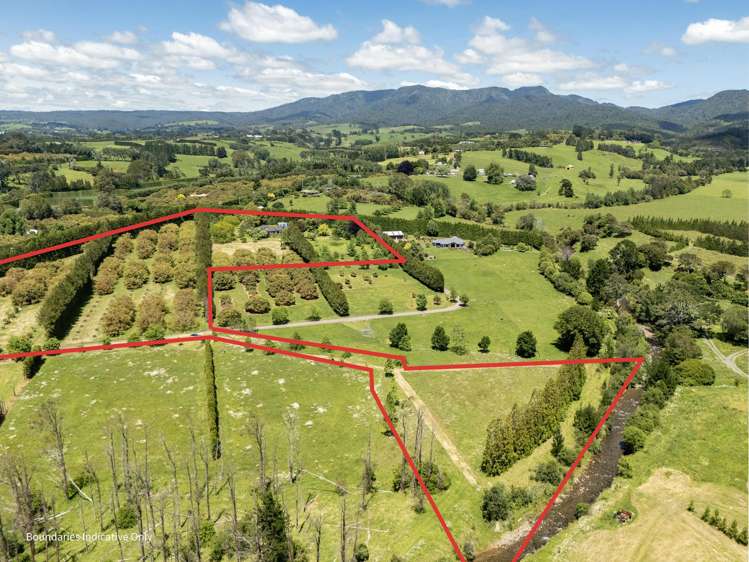 56 Thompsons Track Aongatete_19