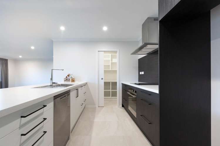 17 Murray Ward Drive Te Kauwhata_1