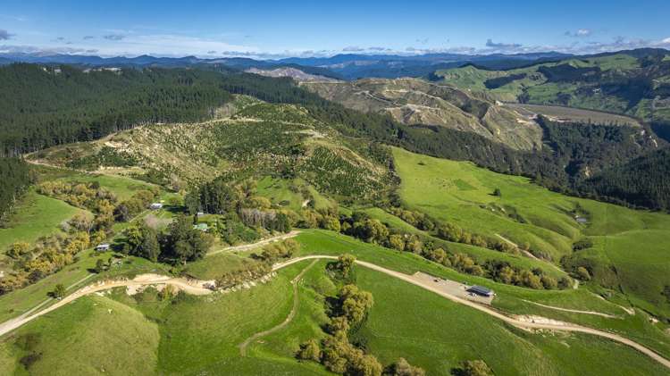 888 Kakariki Farm Road Kotemaori_21