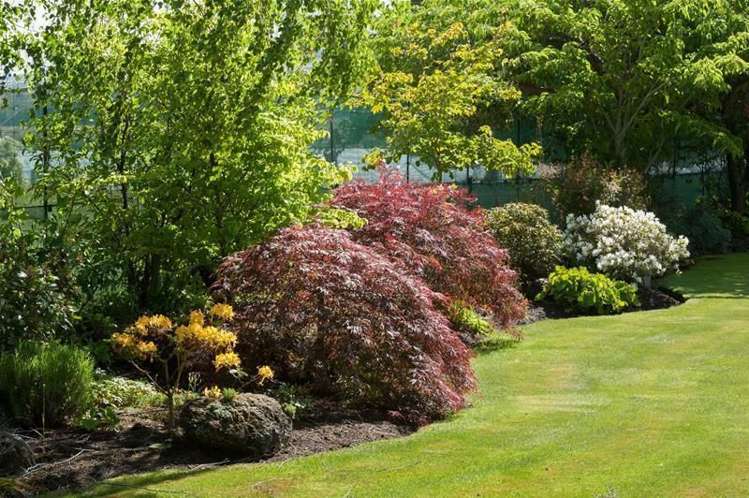 24 Bell Avenue Cromwell_27