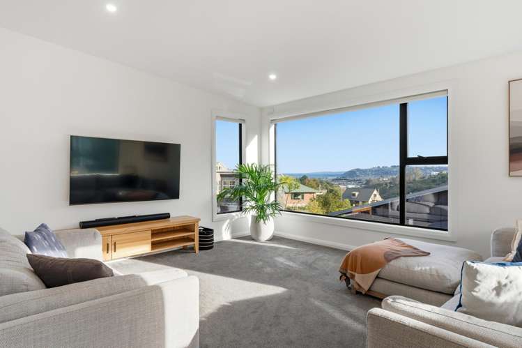 197 Somerville Street Shiel Hill_3
