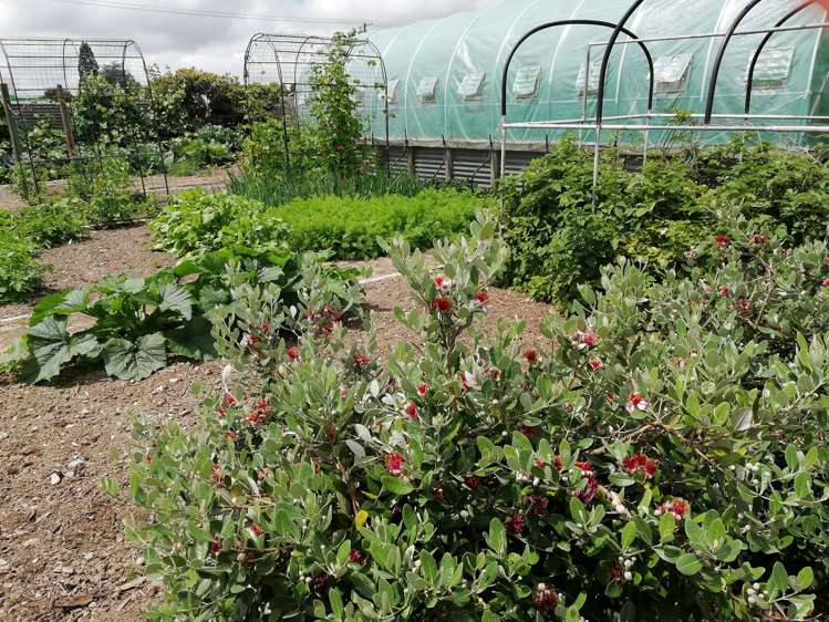 11 Balaclava St Wyndham_10