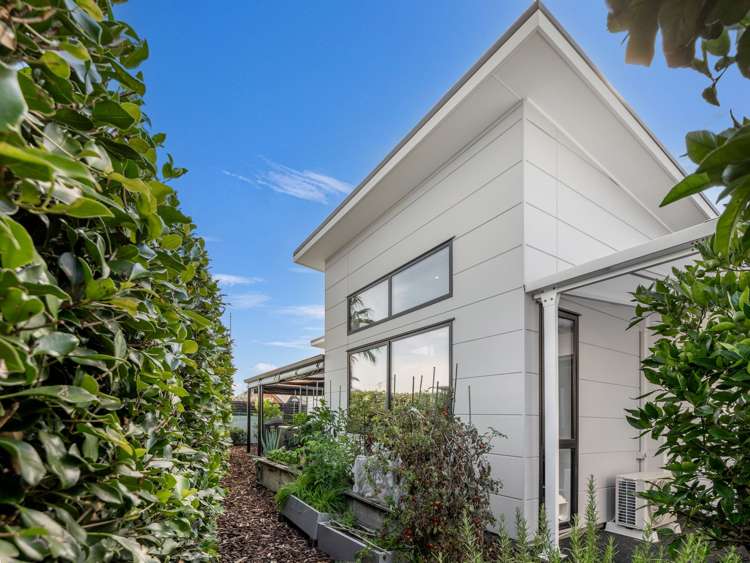 2 Celmisia Retreat Papamoa Beach_19