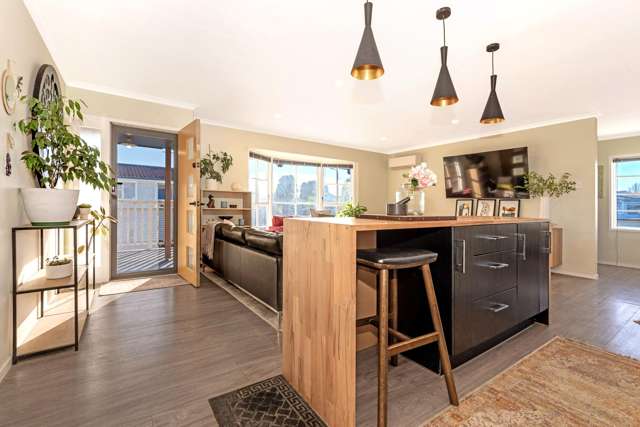 35 Ida Road Outer Kaiti_1